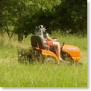 de-rode-droom-is-oranje