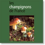 herfsttafereel-2